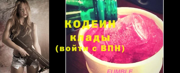 хмурый Богородицк