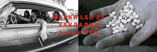 прущий лед Богданович