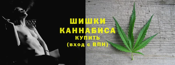 прущий лед Богданович