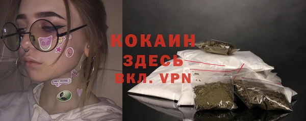 прущий лед Богданович