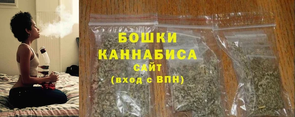 прущий лед Богданович