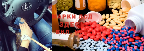 прущий лед Богданович